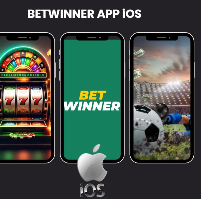 10 Step Checklist for aplicativo Betwinner